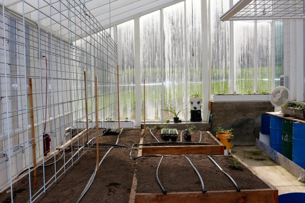 Building Raised Garden Beds 4 Greenhouse tomato Trellis