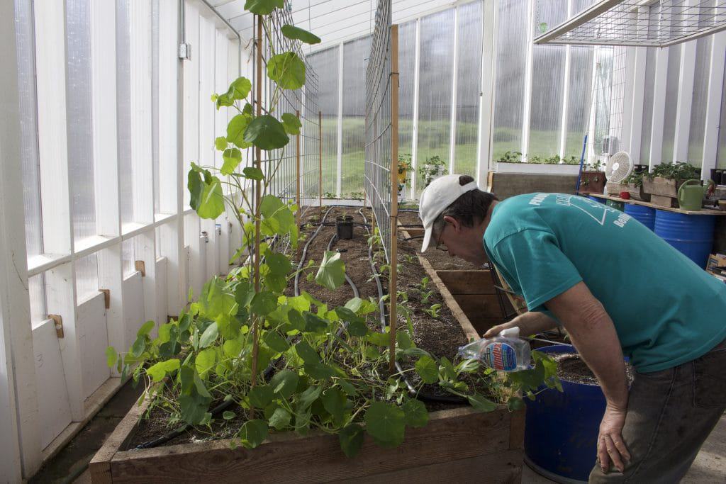 Building Raised Garden Beds 3 Dave in the Greenhouse