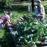 Organic Gardening