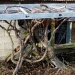 Building an arbor