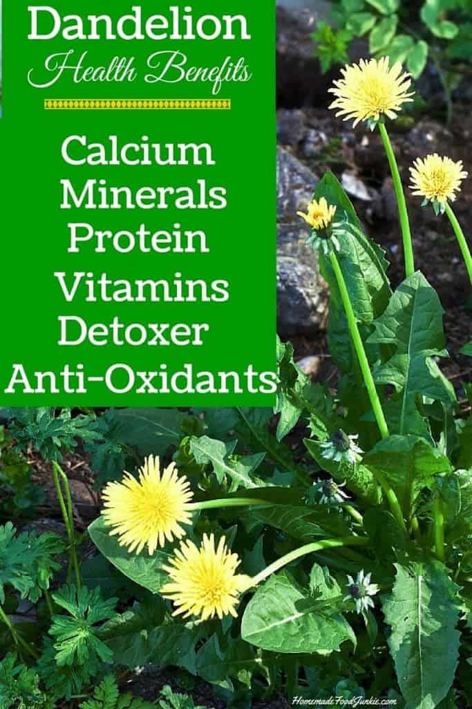 Dandelions benefit our Health https://homemadefoodjunkie.1wp.site