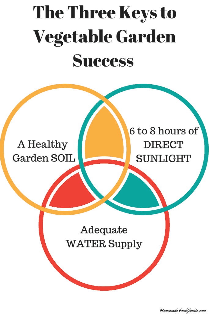 These Three Keys To Garden Success need to be part of your garden plot location considerations