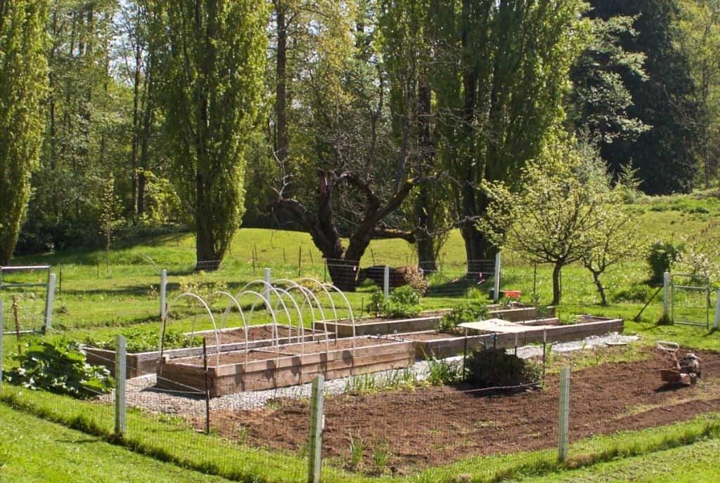 garden 2015 early spring