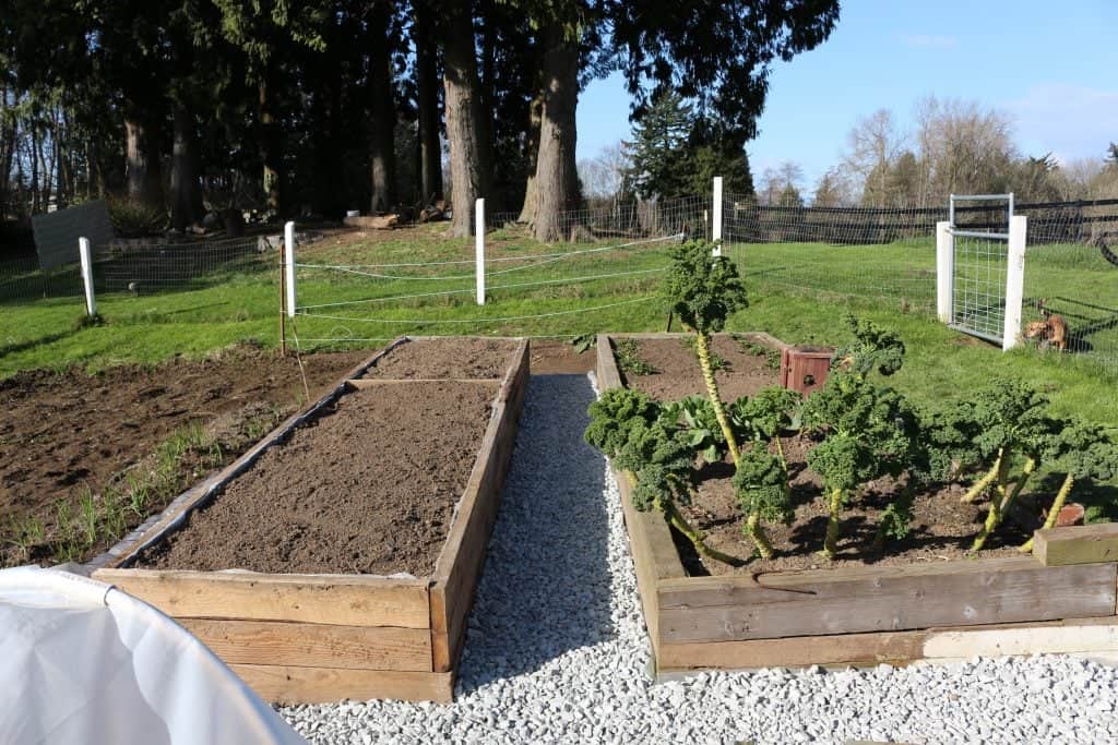 Building Raised Garden Beds 5 Building raised garden beds gives a garden structure