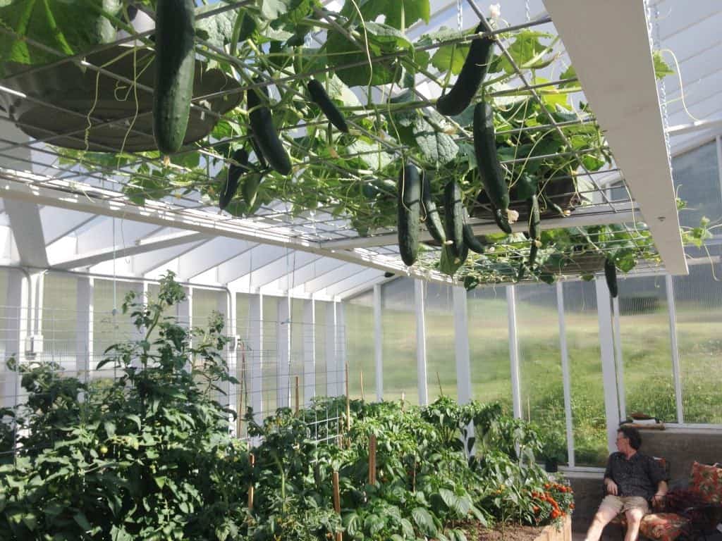 Greenhouse in June 2014