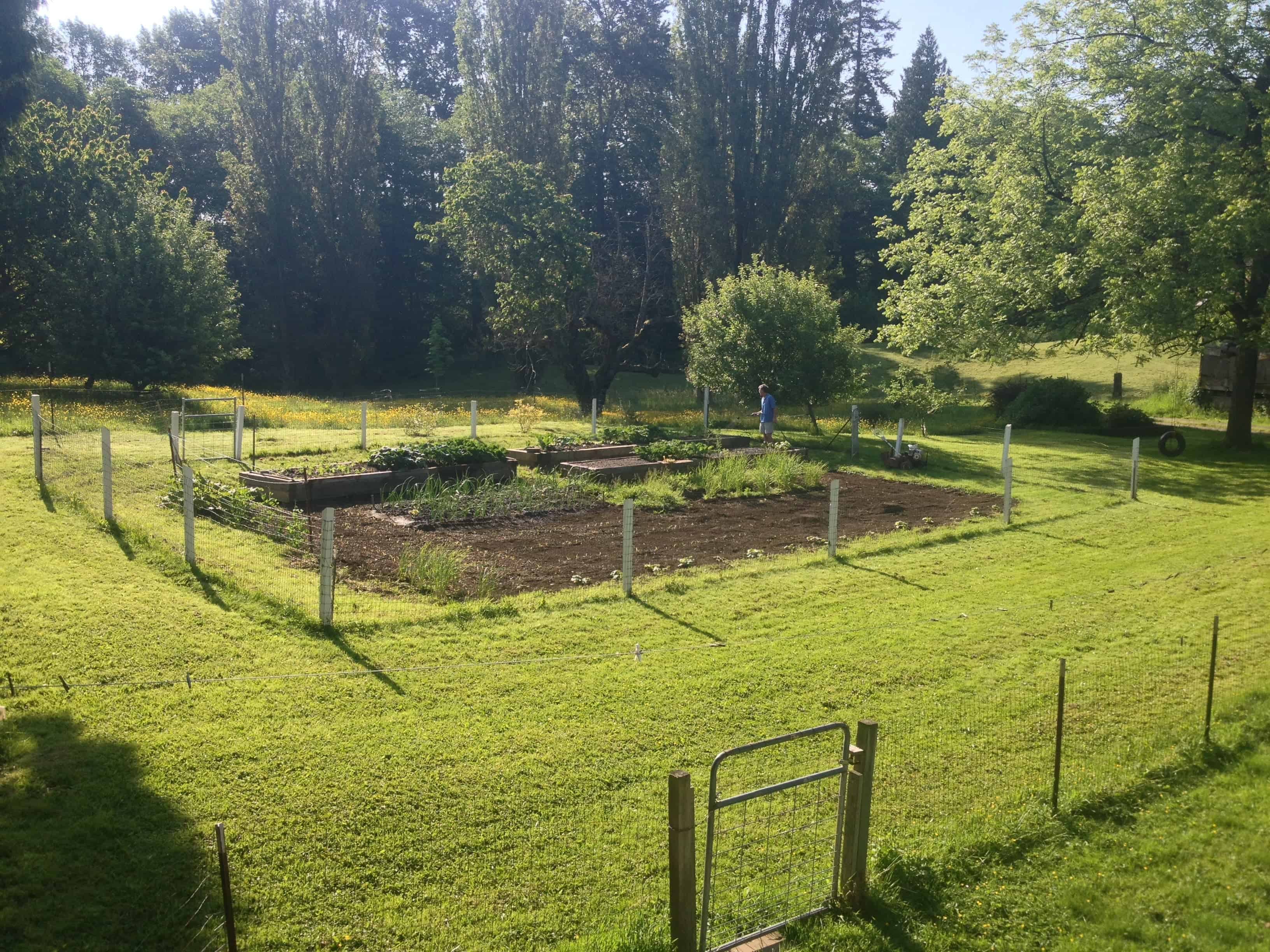 Outdoor garden