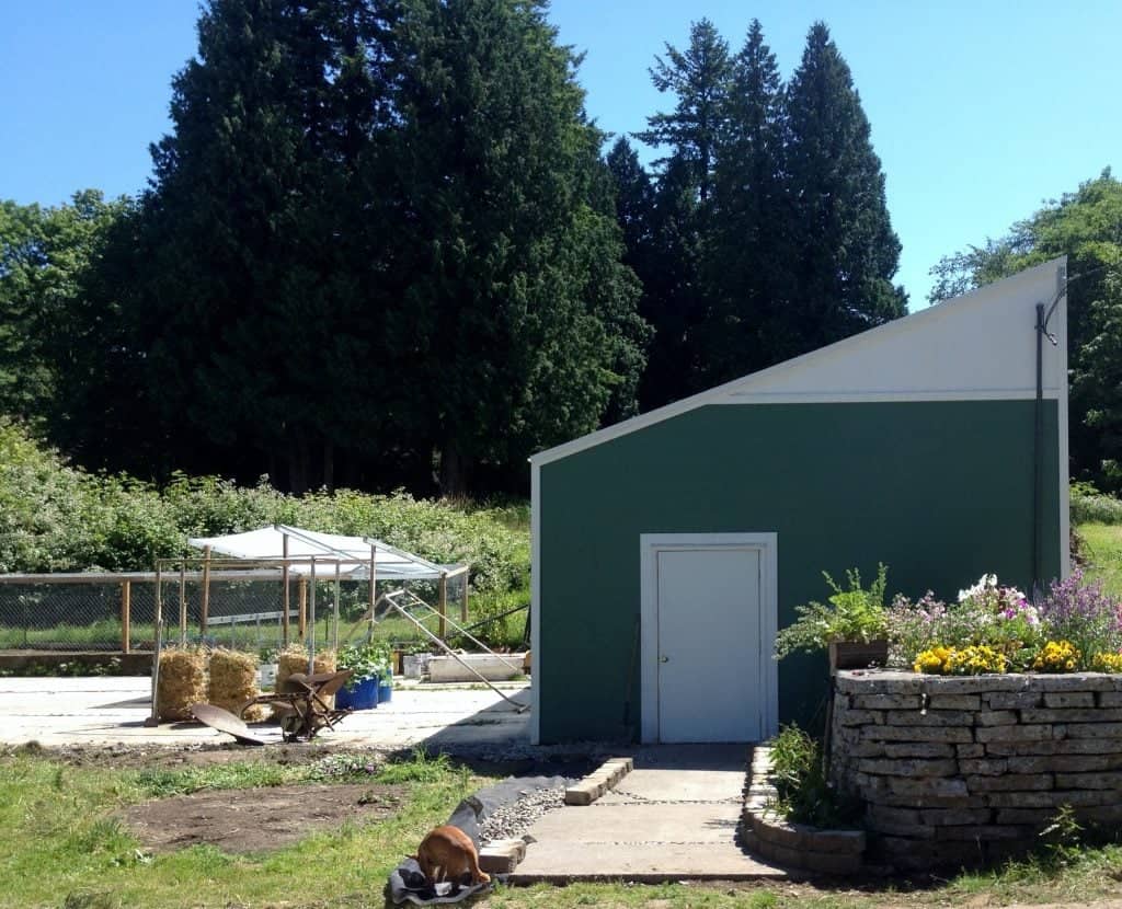 potato towers and growing patio