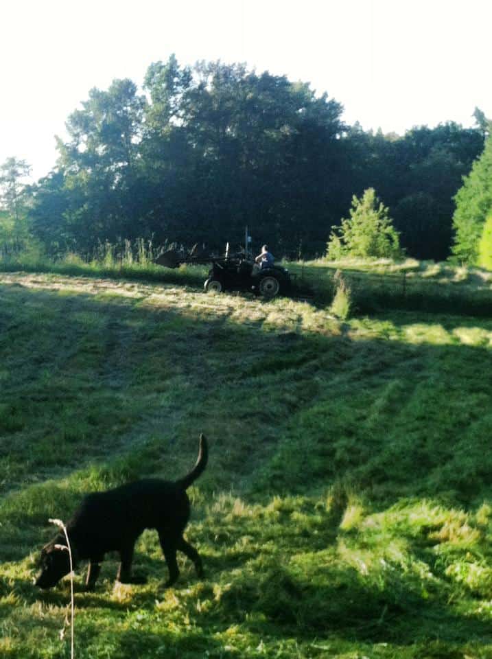 Dave on the tractor