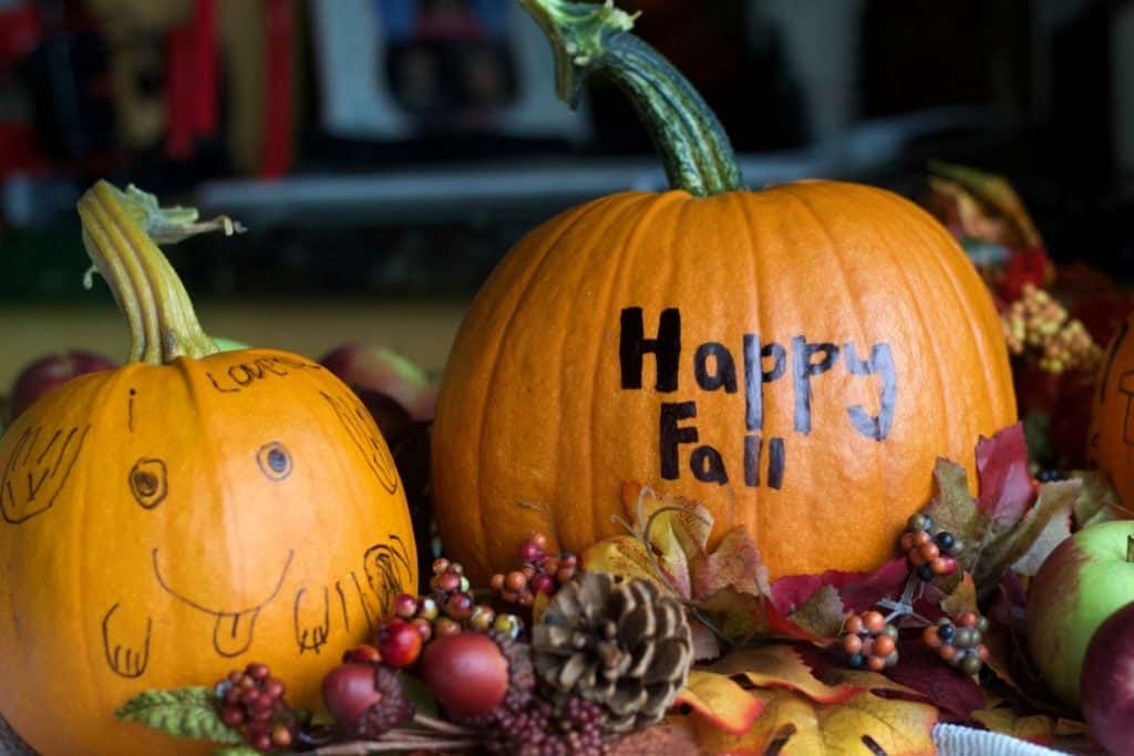 Pumpkin Greetings. Two fresh pumpkins with Happy Fall and a cute face.