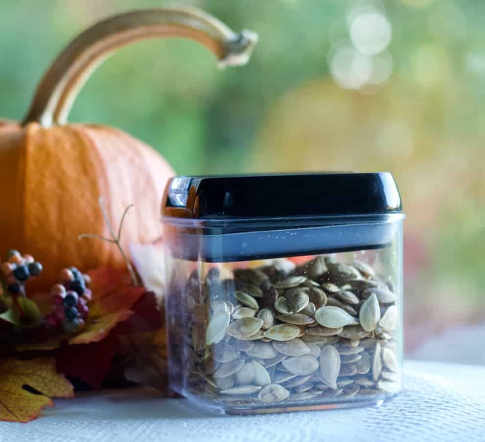 Roasted Pumpkin seeds in a clear airtight container. Sitting by a pumpkin.