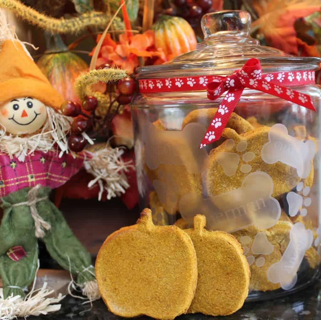 Pumpkin Dog Treats