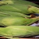 Baking Corn