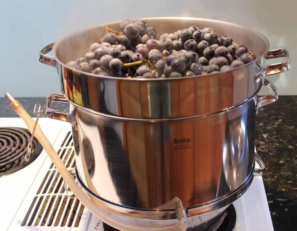 steamer full of grapes