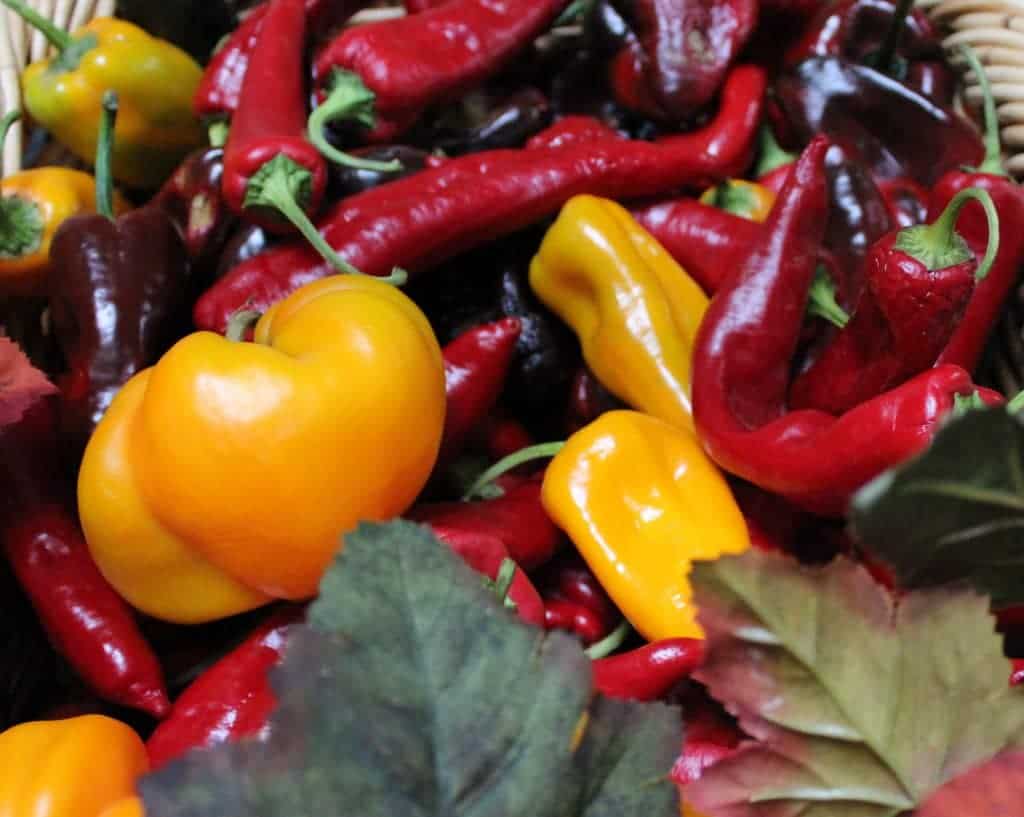 Our Peppers