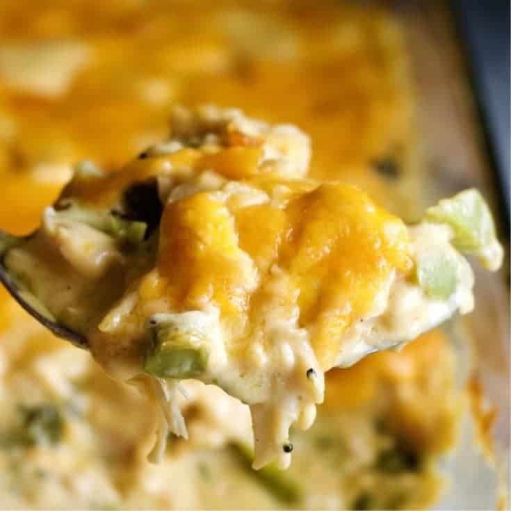 Chicken Mornay Casserole scoop