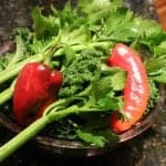 garden harvest 2014