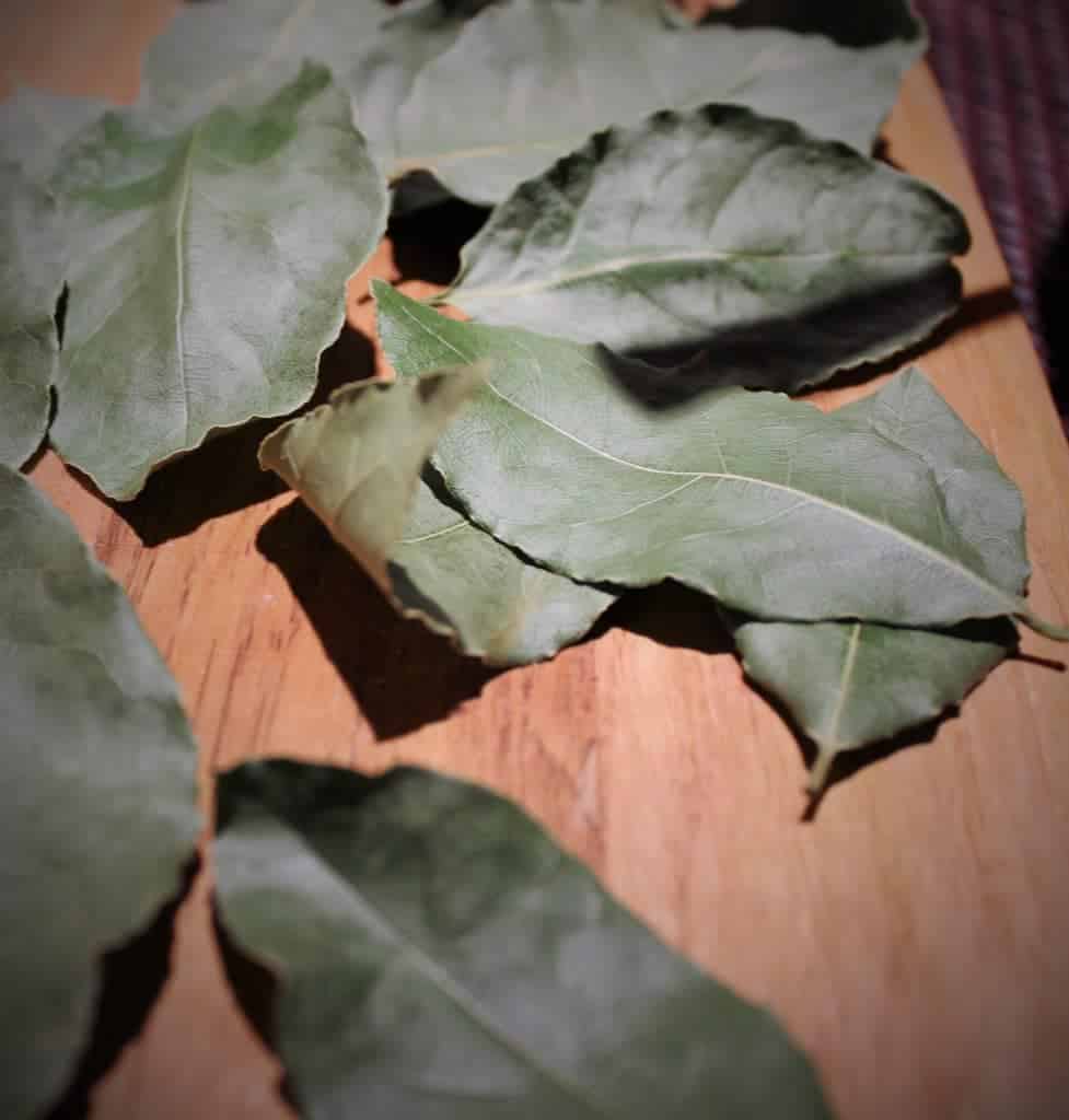 Brigitte's Bay leaves for German Borscht recipe. A tasty German soup made with smoked ham hocks and fresh vegetables.