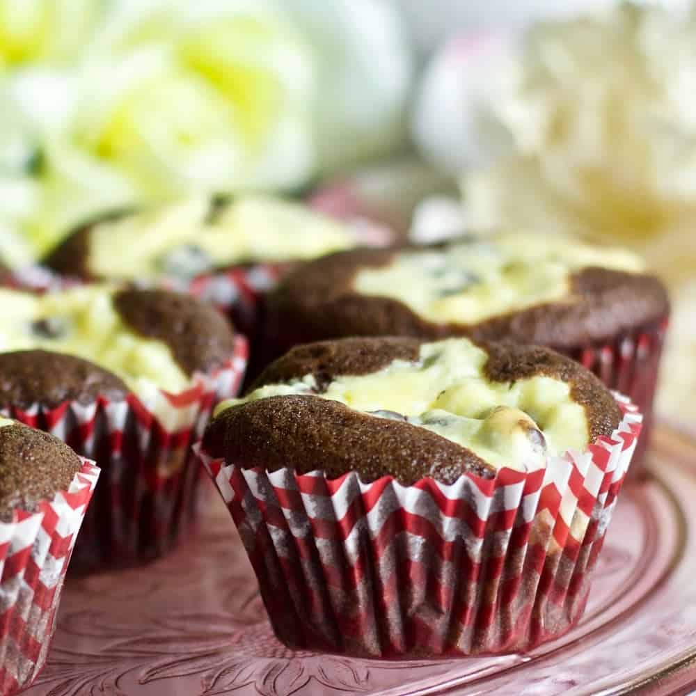 Black Bottom Cupcakes
