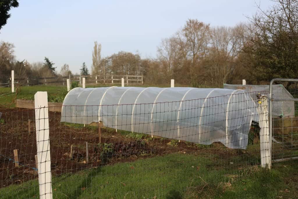 Winter Hoop Gardening