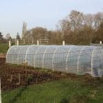 Hoop Gardening