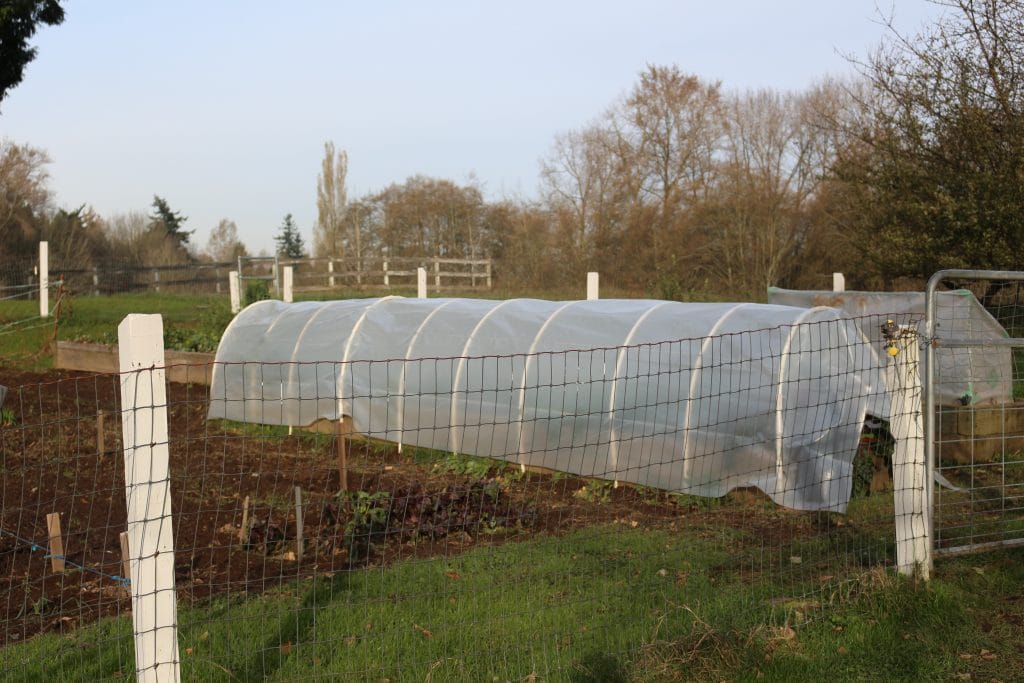 Hoop Gardening