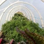 Hoop Gardening