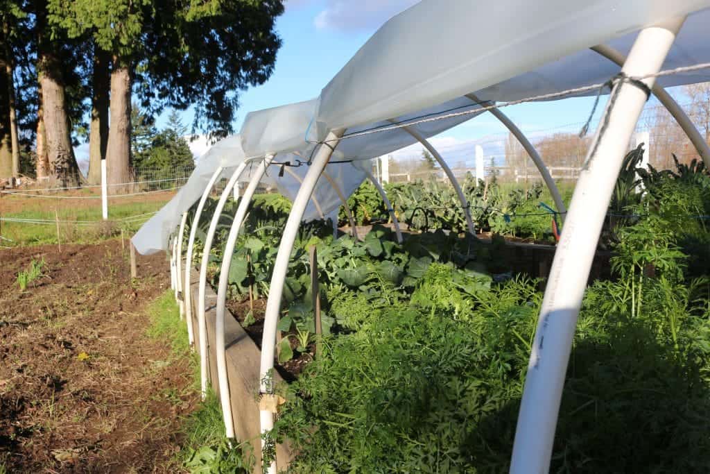 Hoop Gardening. outdoor garden recap 2014