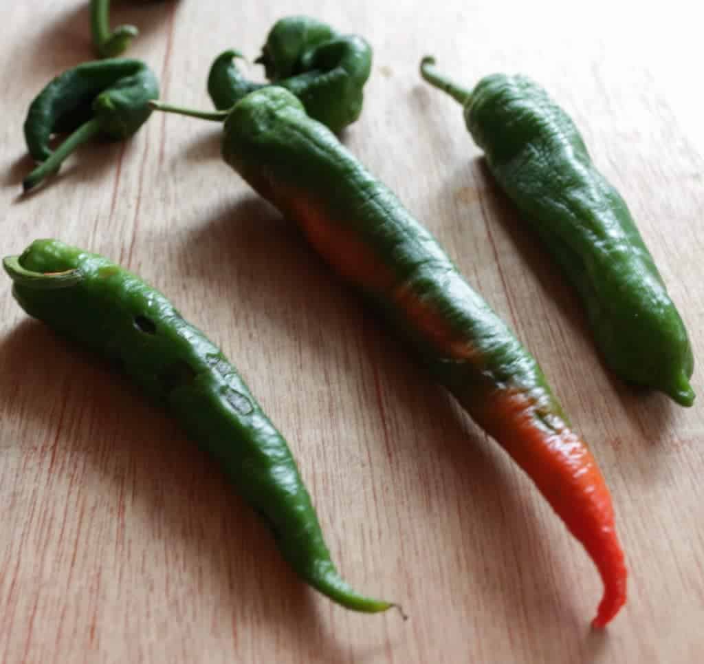 greenhouse peppers