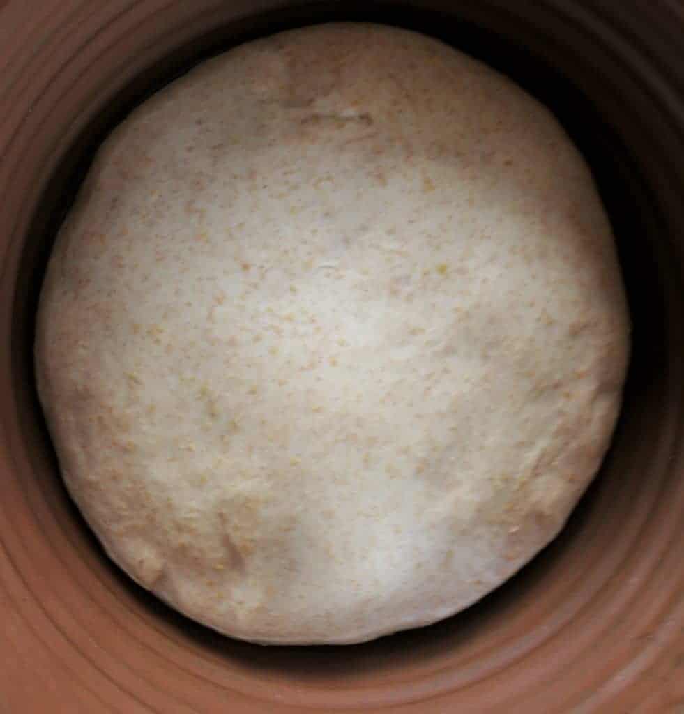 Dough ball ready to rise