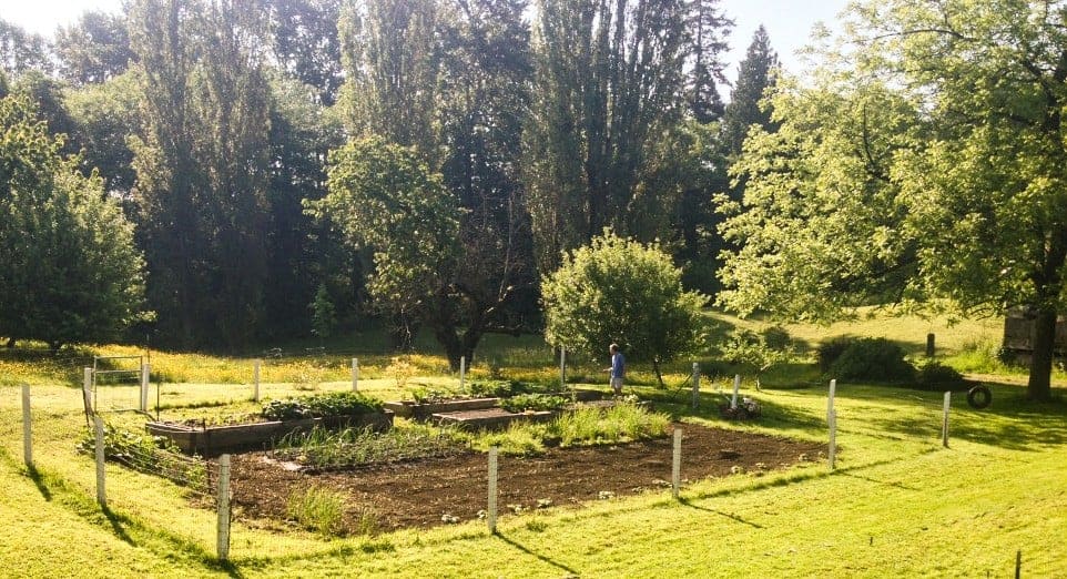 Spring Garden Prep! 1 Garden 2014