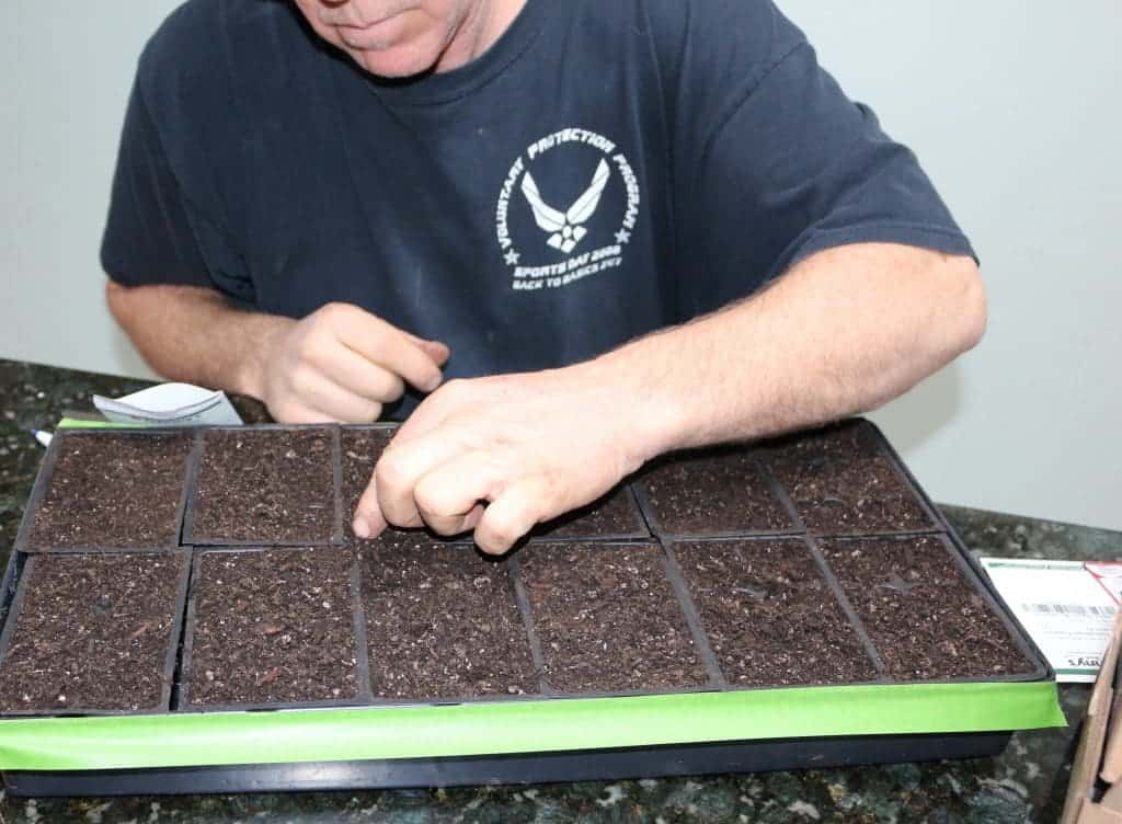 Germinating seeds by lunar cycle. https://homemadefoodjunkie.1wp.site