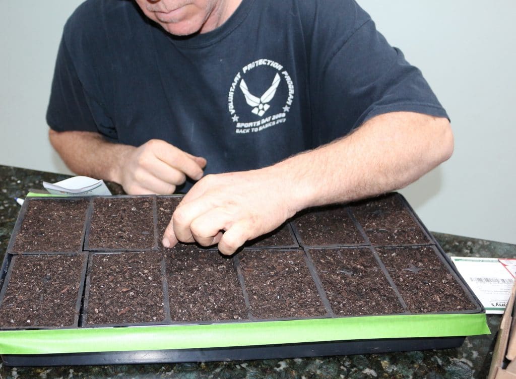 seed propogation