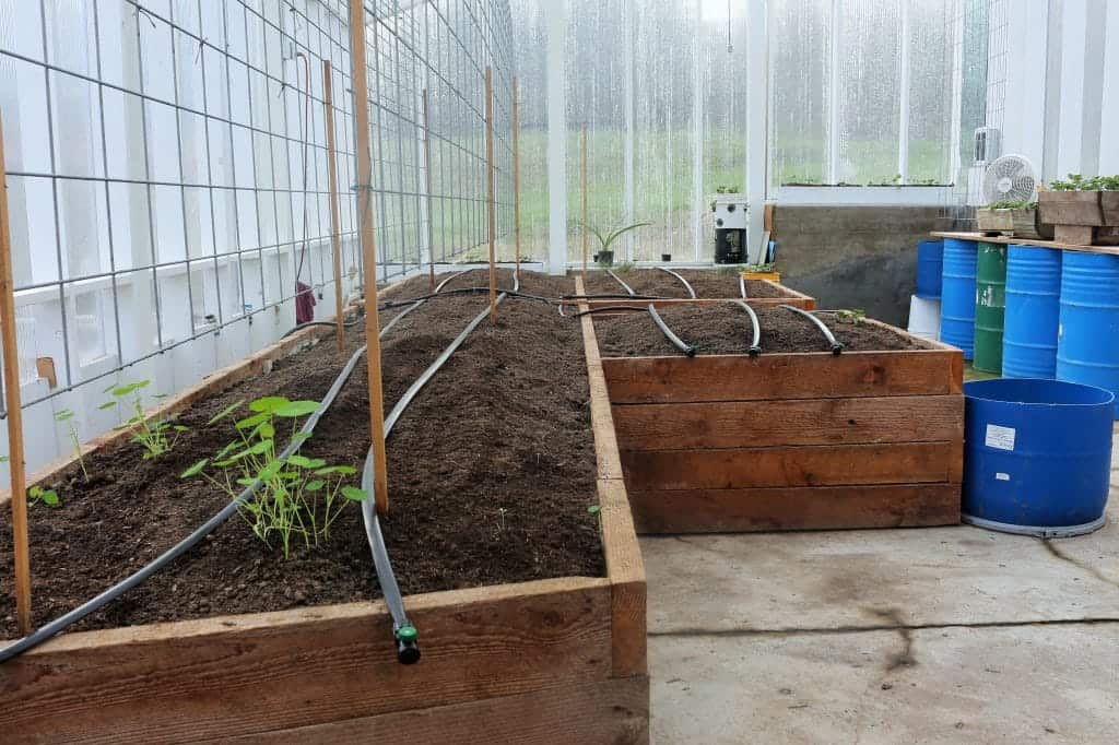Automatic watering system Spring garden project