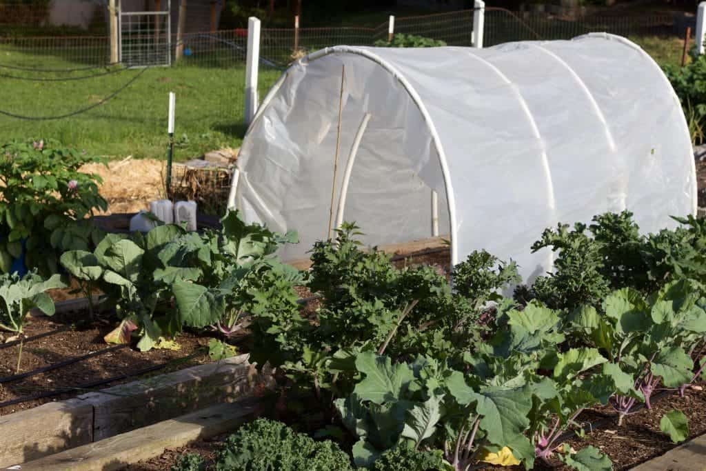 Hoop Gardening