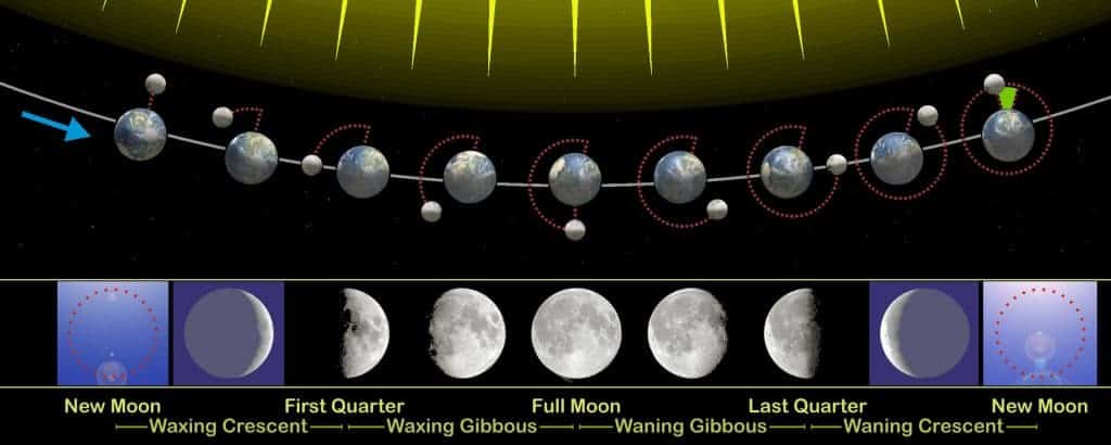 lunar cycle