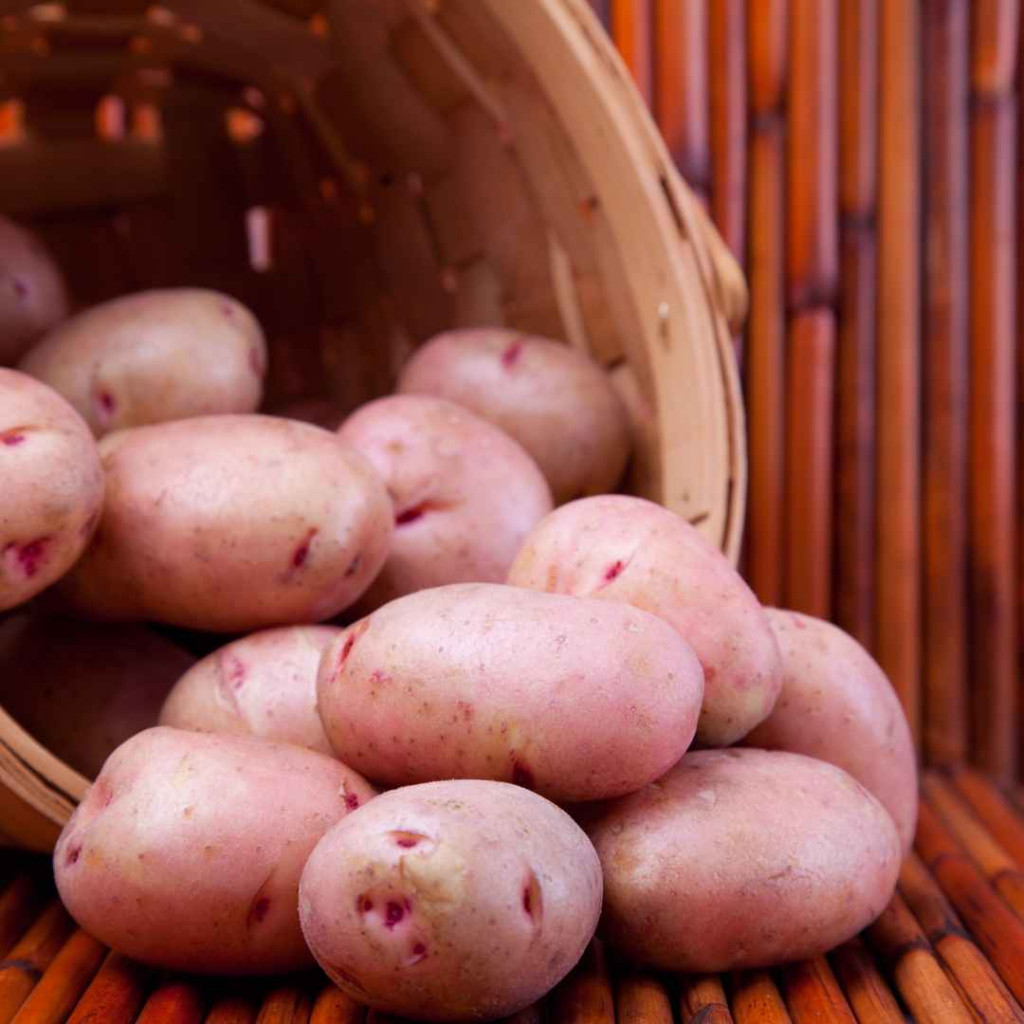 potatoes