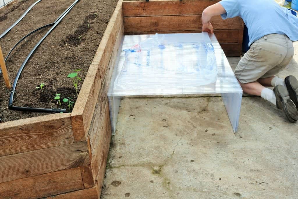 Making Cold Frames for Seedlings 3 building a greenhouse cold frame, making cold frames for seedlings