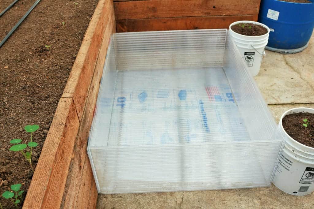 making cold frames for seedlings making a cold frame, making cold frames for seedlings