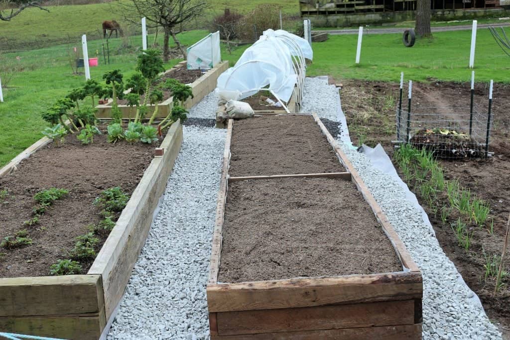 Learning About Compost 3 raised garden beds