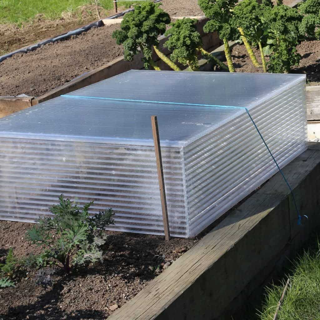 Spring Garden Prep! 5 building cold frames for seedlings