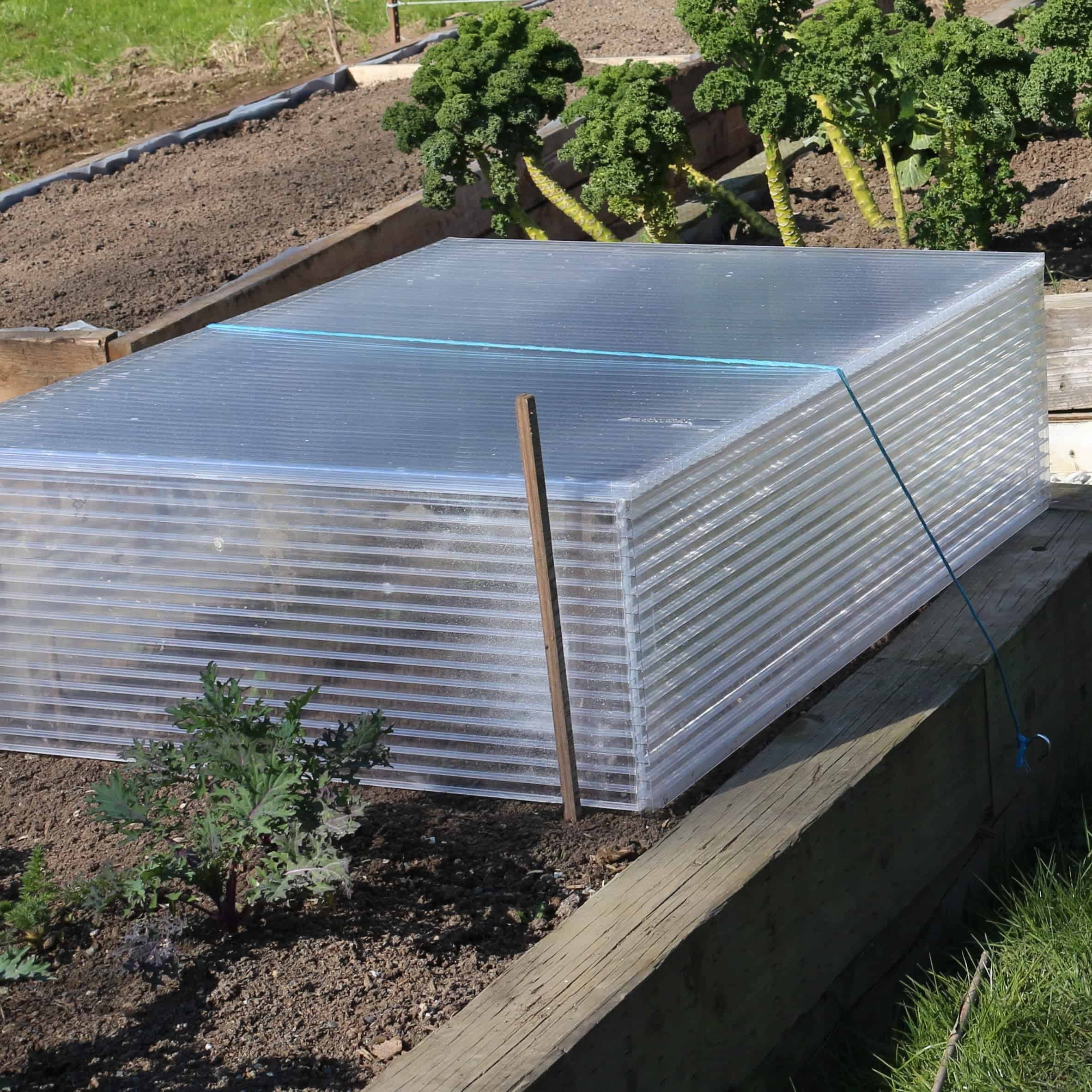 building cold frames for seedlings