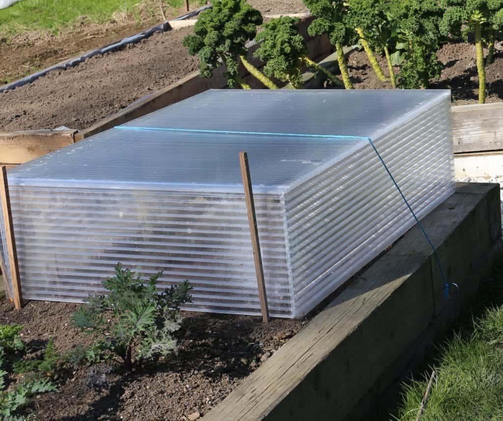 Making Cold Frames for Seedlings 1 Building a cold frame, making cold frames for seedlings