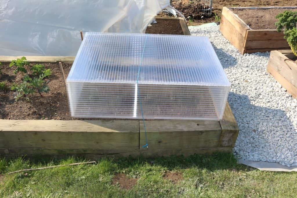 Making Cold Frames for Seedlings 2 Greenhouse cold frame, making cold frames for seedlings,