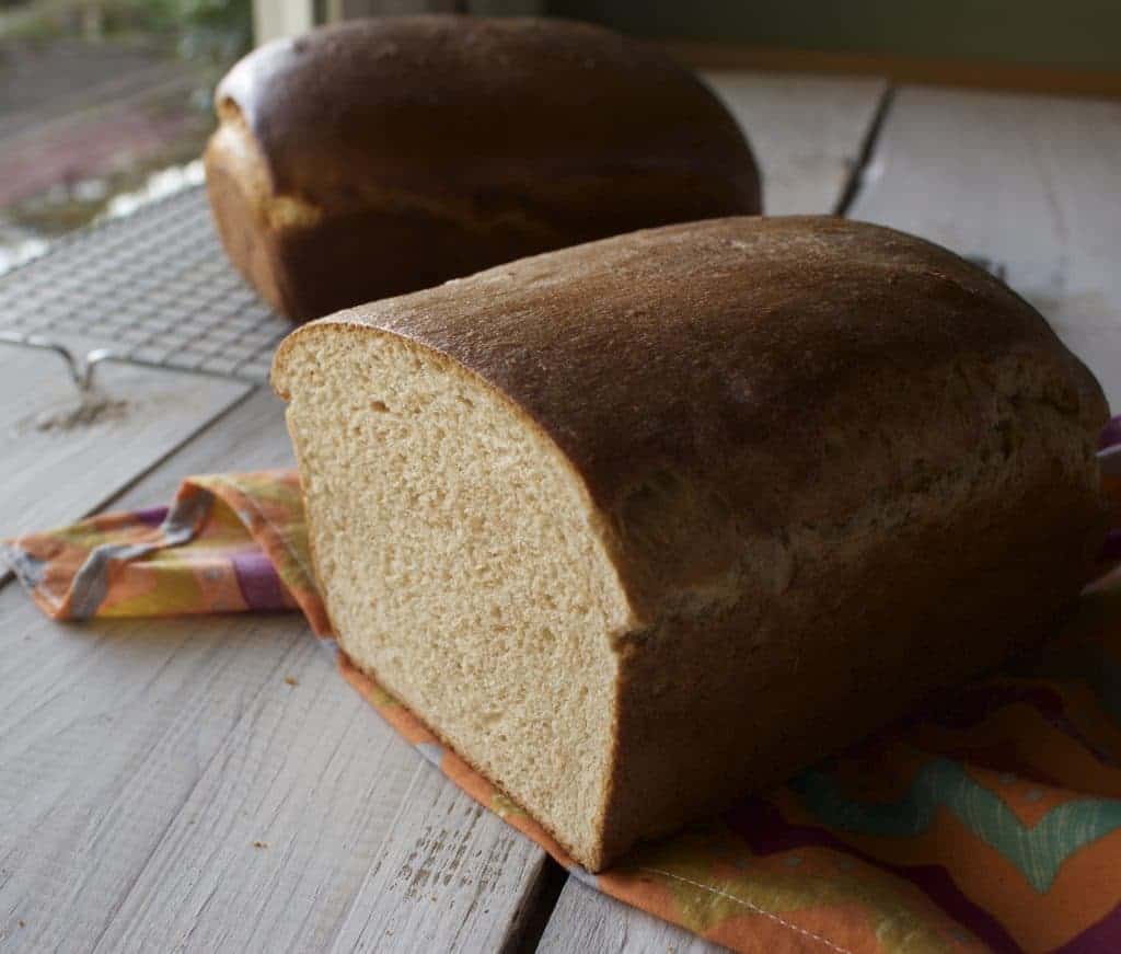 Homemade Whole Wheat Bread