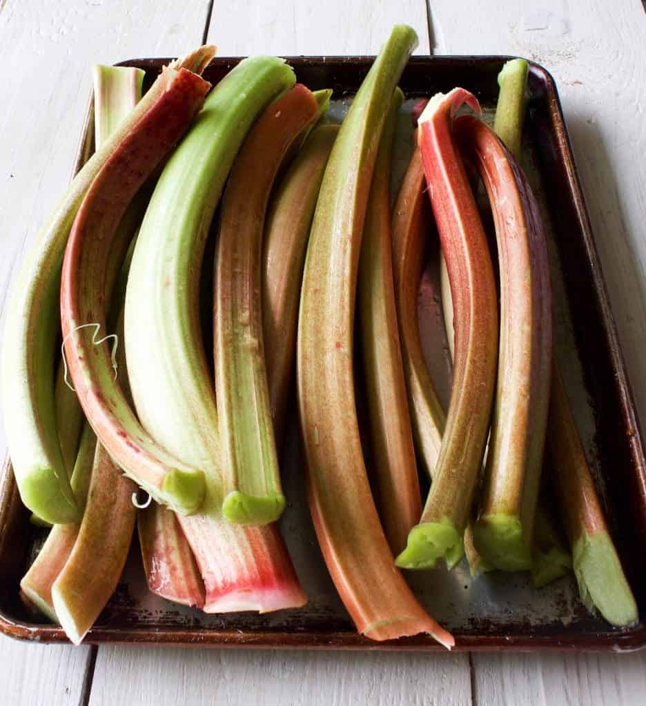 Rhubarb stalks