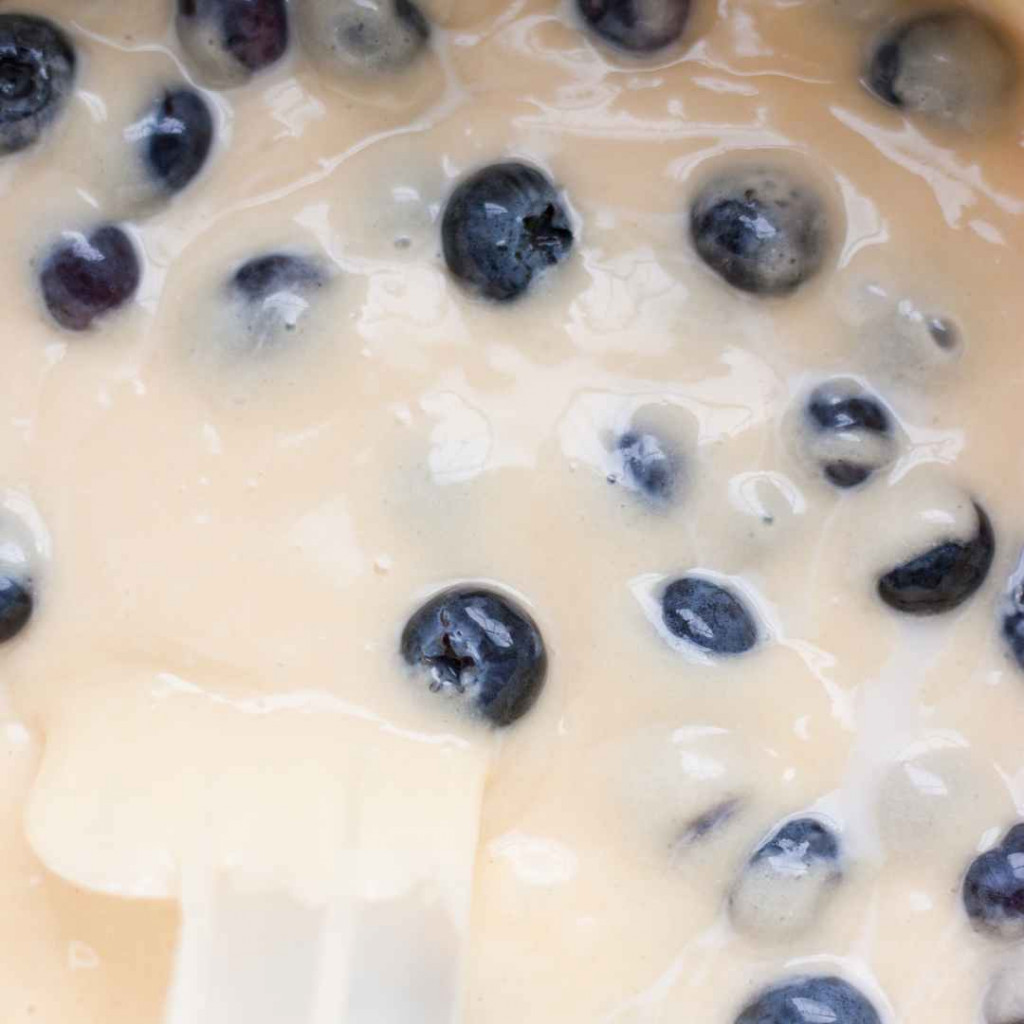blueberry cupcakes 1