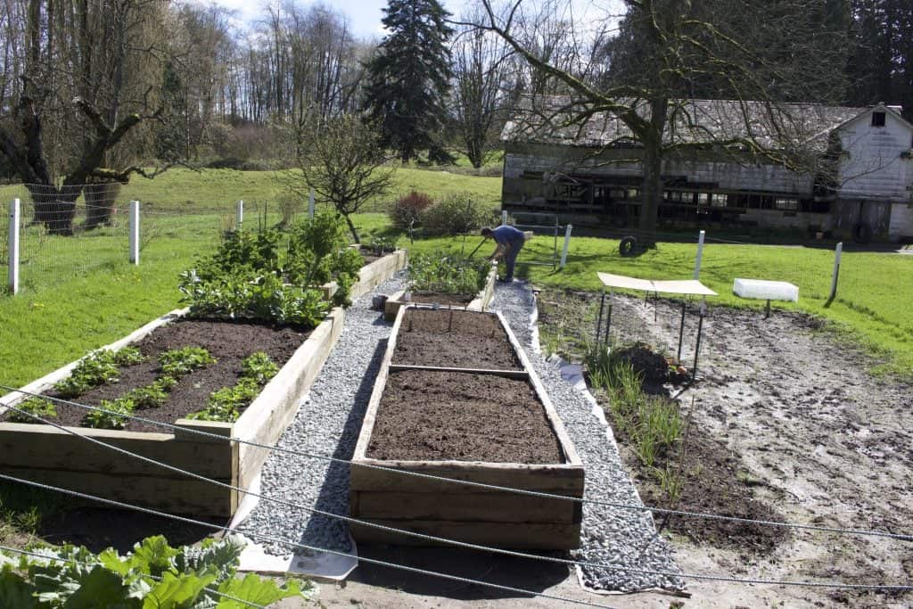 raised garden beds