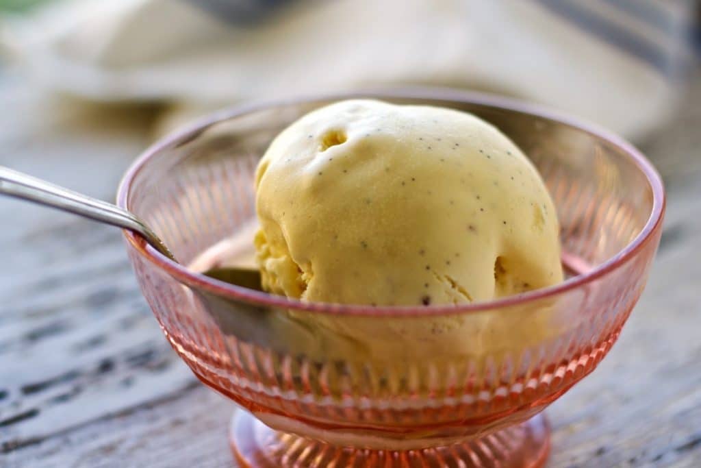 French Vanilla Bean Ice Cream 3 French Vanilla Bean Ice Cream