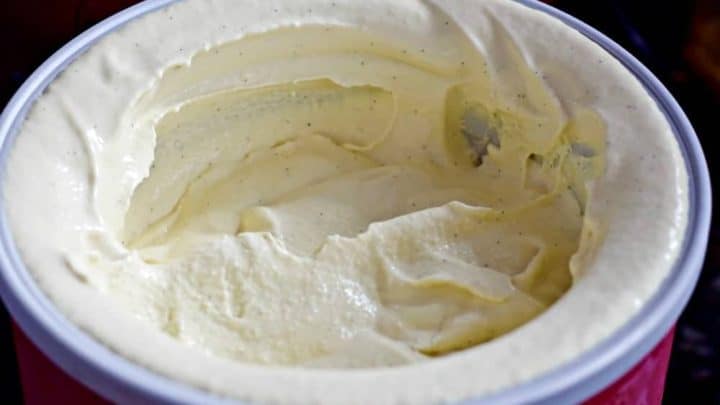 French Vanilla Bean Ice Cream