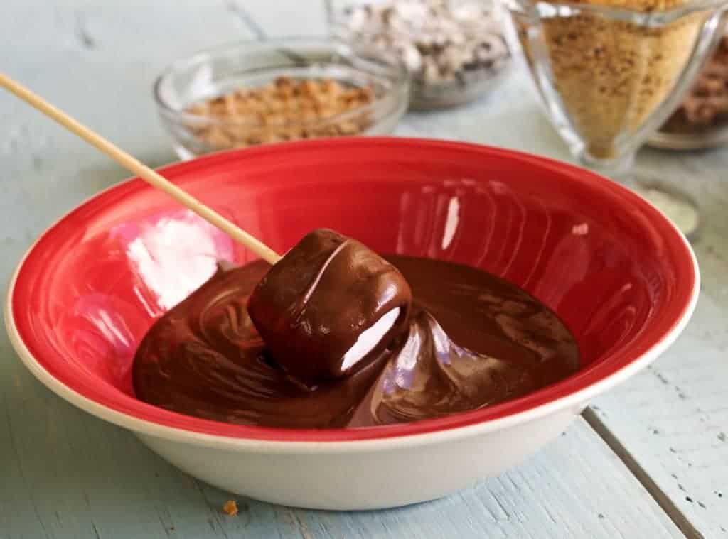 Easy Marshmallow Pops